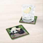 Happy Birthday Cute Panda Beer Kartonnen Onderzetters (Insitu)