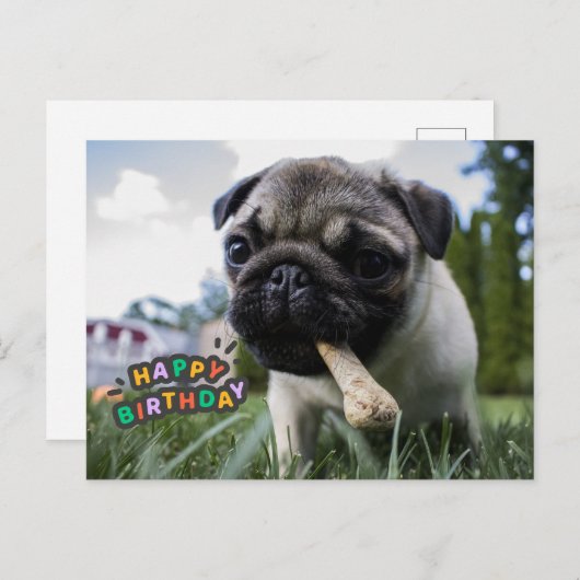 Happy Birthday Cute Puppy met het bot Briefkaart (Voorkant / Achterkant)