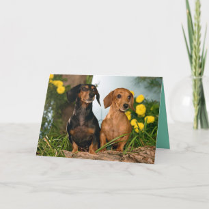 Happy Birthday Dachshund Puppy Dog Card Kaart
