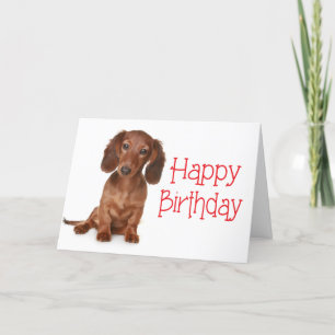 Happy Birthday Dachshund Puppy Dog Card Kaart