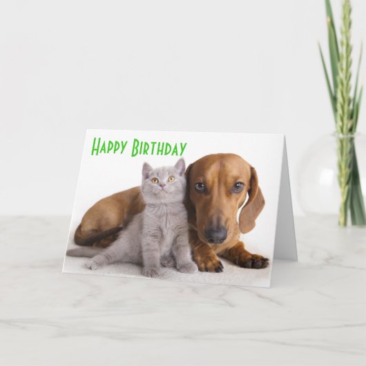 Happy Birthday Dachshund Puppy Dog Card Kaart (Voorkant)