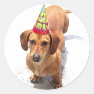 Happy Birthday Dachshund stickers