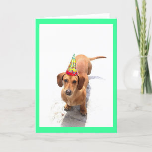 Happy Birthday Dachshund Wenskaart Kaart