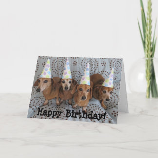Happy Birthday Dachshund Wenskaart Kaart