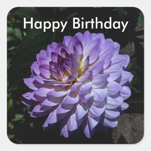 Happy Birthday Dahlia Bea Paradise #1 Stickers (Voorkant)