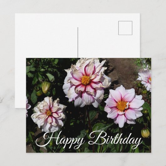 Happy Birthday Dahlia Edge of Joy #1 Briefkaart (Voorkant / Achterkant)