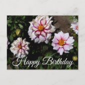 Happy Birthday Dahlia Edge of Joy #1 Briefkaart (Voorkant)