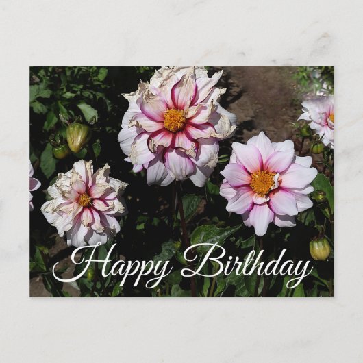 Happy Birthday Dahlia Edge of Joy #1 Briefkaart (Voorkant)