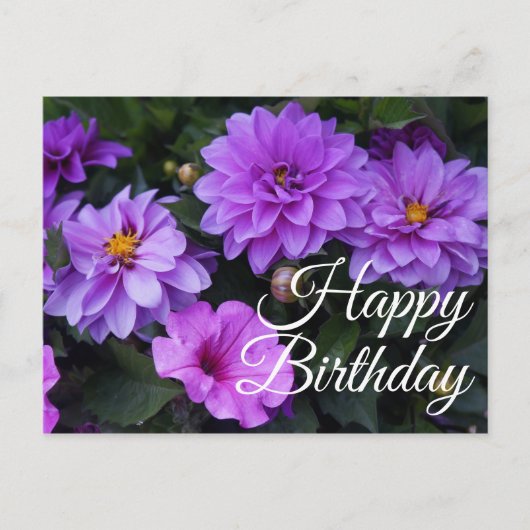 Happy Birthday Dahlia Lila en Petunia Briefkaart (Voorkant)