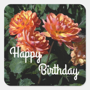 Happy Birthday Dahlia Pam Howden #1 Stickers