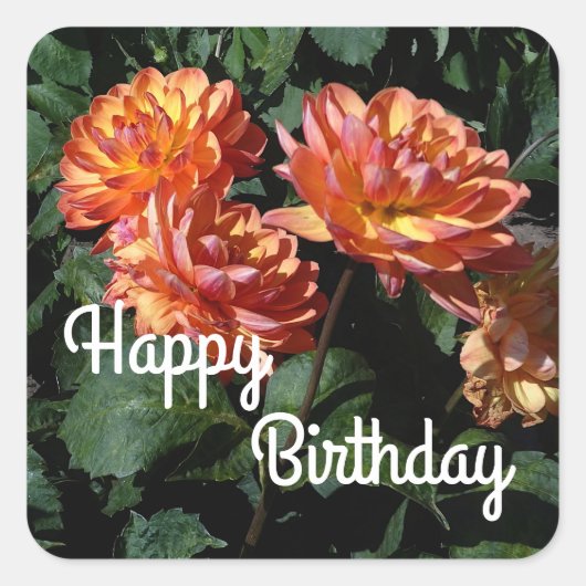 Happy Birthday Dahlia Pam Howden #1 Stickers (Voorkant)