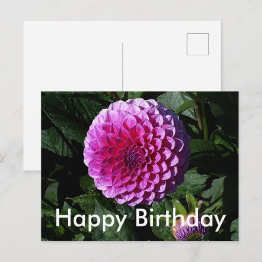 Happy Birthday Dahlia Pink Paradise #1 Briefkaart (Voorkant / Achterkant)