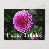 Happy Birthday Dahlia Pink Paradise #1 Briefkaart (Voorkant)