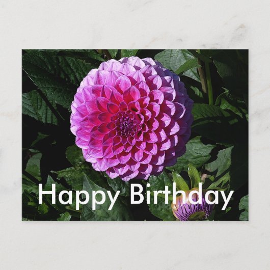 Happy Birthday Dahlia Pink Paradise #1 Briefkaart (Voorkant)