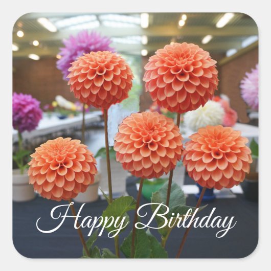 Happy Birthday Dahlia Roos Toscano #1-1 Stickers (Voorkant)