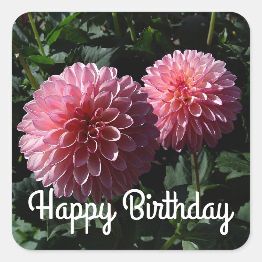 Happy Birthday Dahlia Valley Porcupine #1 Stickers (Voorkant)