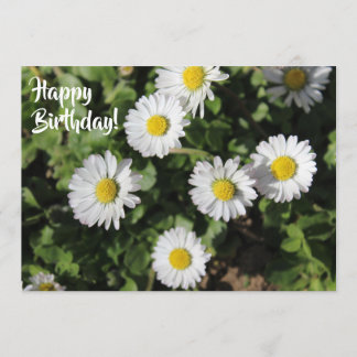 Happy Birthday Daisies Photography Kaart