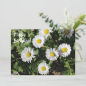 Happy Birthday Daisies Photography Kaart (Staand voorkant)