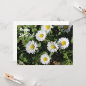 Happy Birthday Daisies Photography Kaart (Voorkant / Achterkant in situ)