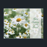 Happy Birthday Daisies voor Vriend Briefkaart<br><div class="desc">Sweet Happy Birthday briefkaart voor een goede vriend met een veld van madeliefjes.</div>