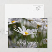Happy Birthday Daisy Briefkaart (Voorkant / Achterkant)