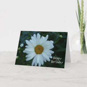Happy Birthday-Daisy Kaart