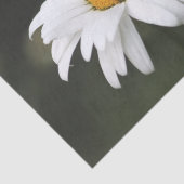 Happy Birthday Daisy Tissue Tissuepapier (Detail)