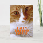 Happy Birthday Daughter Sweet Cat Kaart<br><div class="desc">Ik wens uw dochter een "Happy Birthday" met deze leuke kaart van mijn "Kat koelheid"-Collectie,  met een schattig oranje en wit kat. De binnenkant kan worden gehouden zoals het is,  of door u worden gepersonaliseerd voor die extra aanraking. Foto door ontwerper.</div>