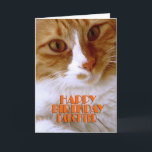 Happy Birthday Daughter Sweet Cat Kaart<br><div class="desc">Ik wens uw dochter een "Happy Birthday" met deze leuke kaart van mijn "Kat koelheid"-Collectie,  met een schattig oranje en wit kat. De binnenkant kan worden gehouden zoals het is,  of door u worden gepersonaliseerd voor die extra aanraking. Foto door ontwerper.</div>