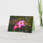 Happy Birthday Desert Roos Flowers bij Sugar Mill Kaart (Achterkant)