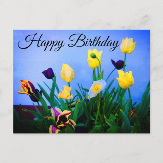 Happy Birthday Diverse Tulips #2 Briefkaart (Voorkant)