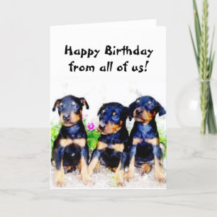 Happy Birthday Doberman puppies wenskaart Kaart