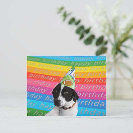 Happy Birthday Dog Colorful Text Banner Briefkaart (Staand voorkant)