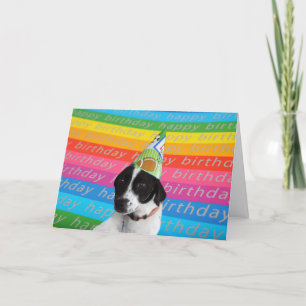 Happy Birthday Dog Colorful Text Banner Kaart