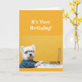 Happy Birthday Dog Fun Humor voor iedereen Kaart (Gele Bloem)