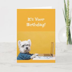 Happy Birthday Dog Fun Humor voor iedereen Kaart