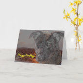 Happy Birthday Dog Kaart (Gele Bloem)