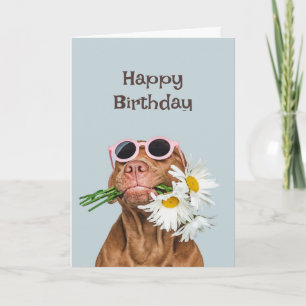Happy Birthday Dog met Flowers Humor Animal Kaart