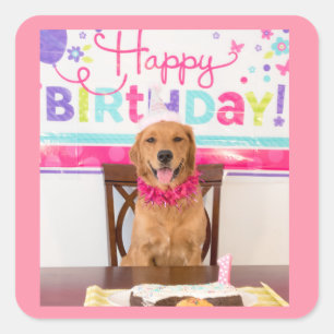 Happy Birthday Dog Party met My Dawg Vierkante Sticker