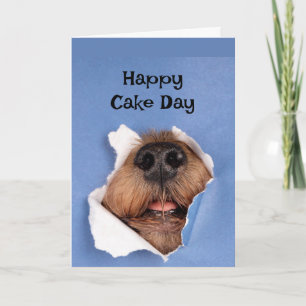 Happy Birthday Dog smelting Cake Animal Fun Kaart