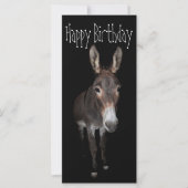 Happy Birthday Donkey Kaart (Voorkant)