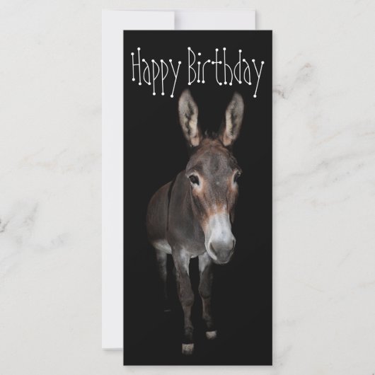 Happy Birthday Donkey Kaart (Voorkant)