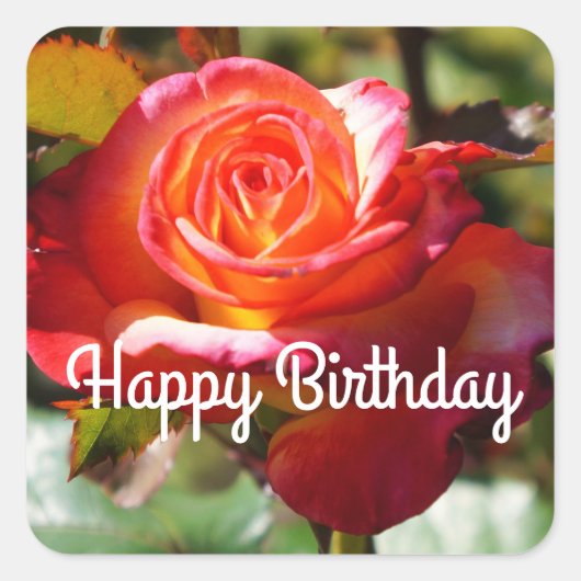 Happy Birthday Dream komt uit Roos #2 Stickers (Voorkant)