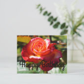 Happy Birthday Dream komt uit True Roos #2 Briefka Briefkaart (Staand voorkant)