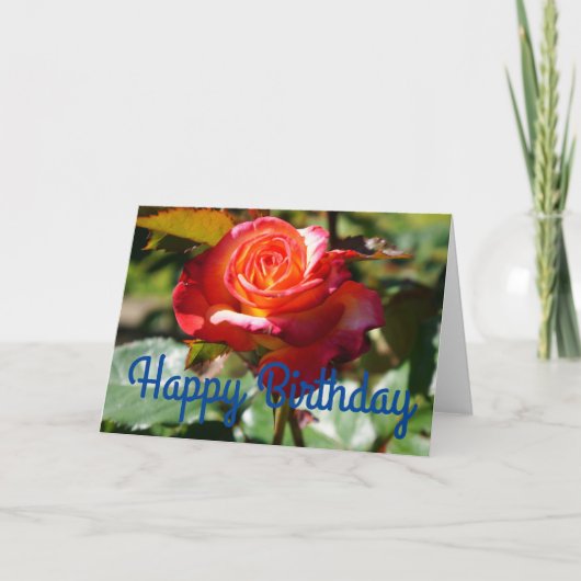 Happy Birthday Dream komt uit True Roos #2 Kaart (Voorkant)