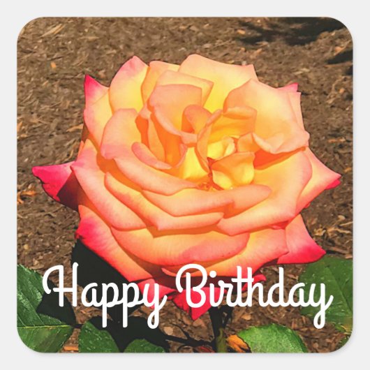 Happy Birthday Dream komt uit True Roos #3 Sticker (Voorkant)