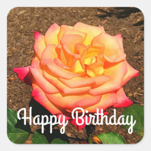 Happy Birthday Dream komt uit True Roos #3 Sticker