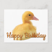 Happy Birthday Ducking Briefkaart (Voorkant)