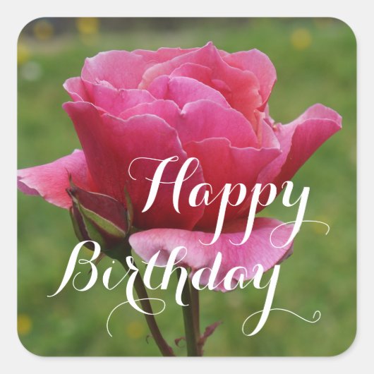 Happy Birthday Duet Roos #1 Stickers (Voorkant)