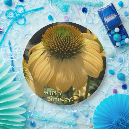 Happy Birthday Echinacea Papieren Bordje (Feest)